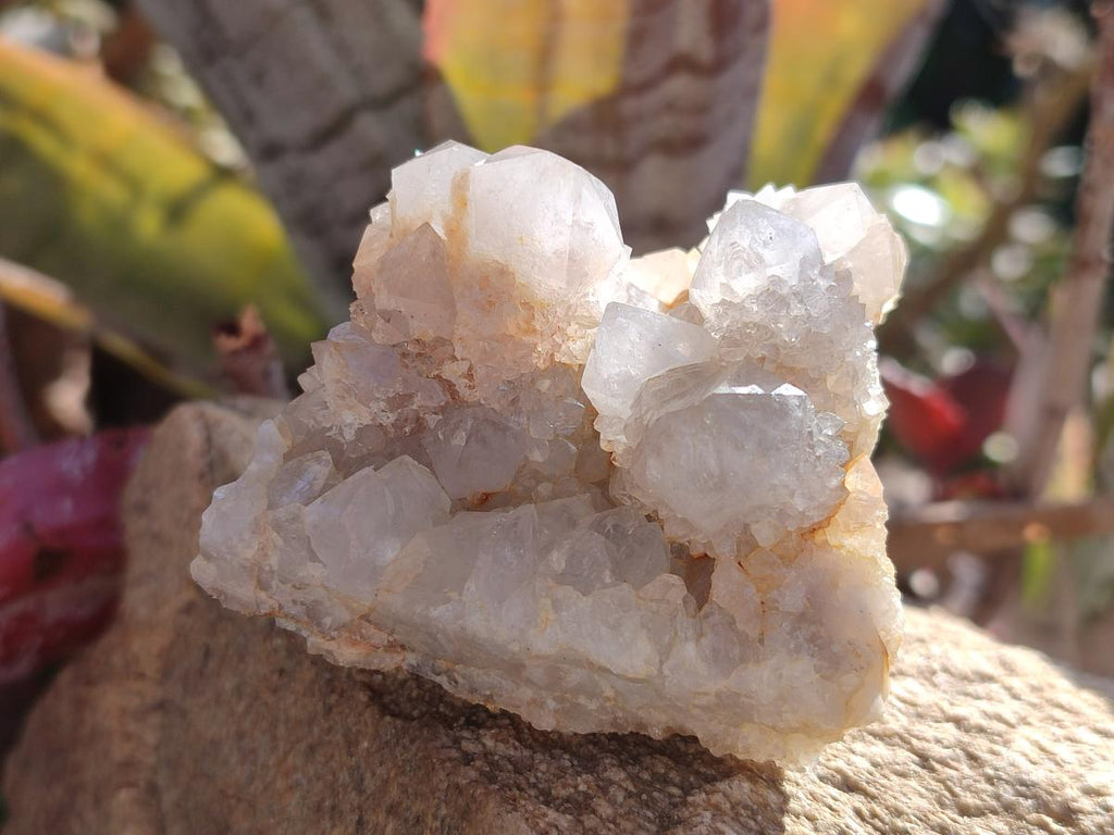 Natural White Spirit Quartz Clusters x 12 From Boekenhouthoek, South Africa - Toprock Gemstones and Minerals 