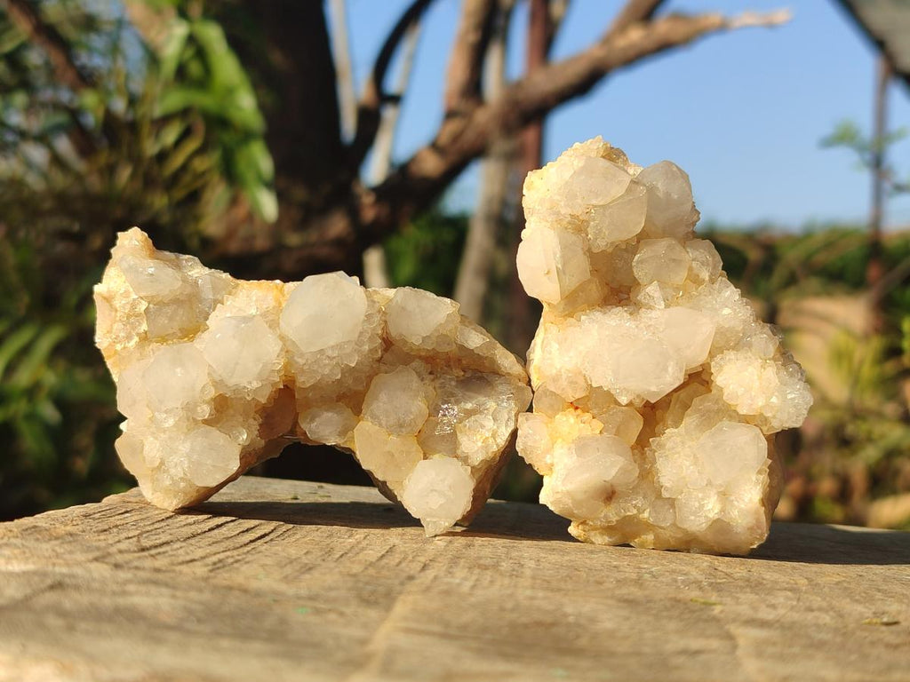 Natural White Spirit Quartz Clusters x 12 From Boekenhouthoek, South Africa - Toprock Gemstones and Minerals 