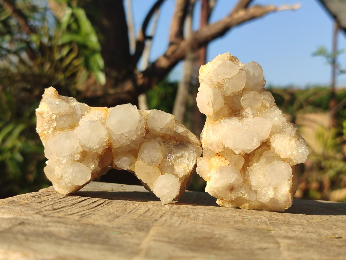 Natural White Spirit Quartz Clusters x 12 From Boekenhouthoek, South Africa - Toprock Gemstones and Minerals 