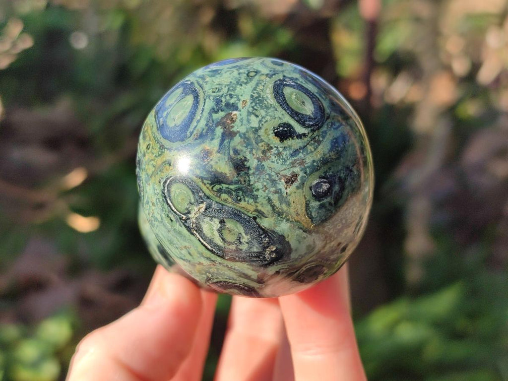 Polished Stromatolite "Kambamba Jasper" Mushrooms x 5 From Katsepy, Madagascar - Toprock Gemstones and Minerals 
