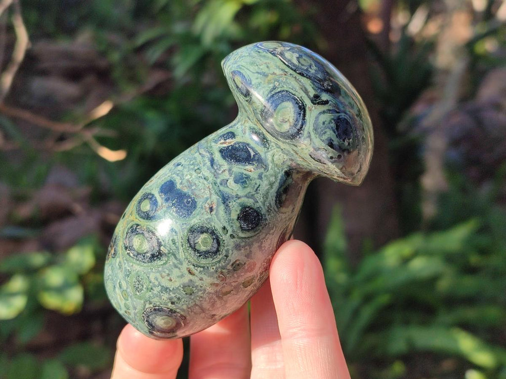Polished Stromatolite "Kambamba Jasper" Mushrooms x 5 From Katsepy, Madagascar - Toprock Gemstones and Minerals 