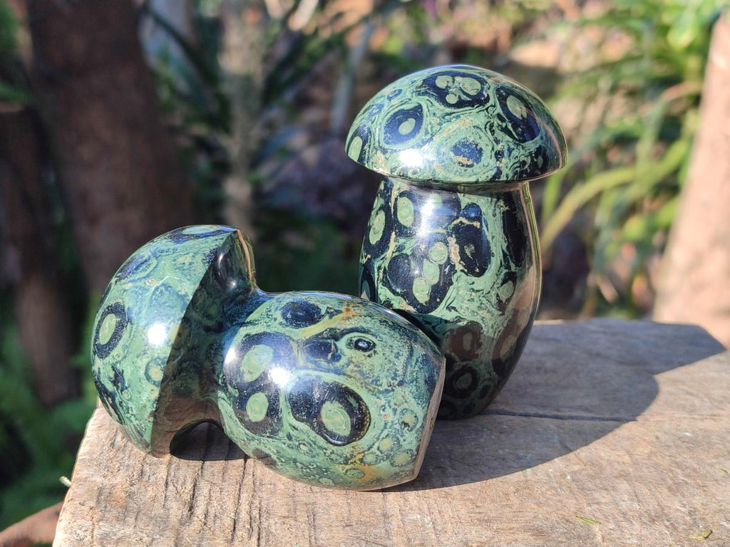 Polished Stromatolite "Kambamba Jasper" Mushrooms x 5 From Katsepy, Madagascar - Toprock Gemstones and Minerals 