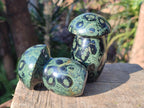 Polished Stromatolite "Kambamba Jasper" Mushrooms x 5 From Katsepy, Madagascar - Toprock Gemstones and Minerals 