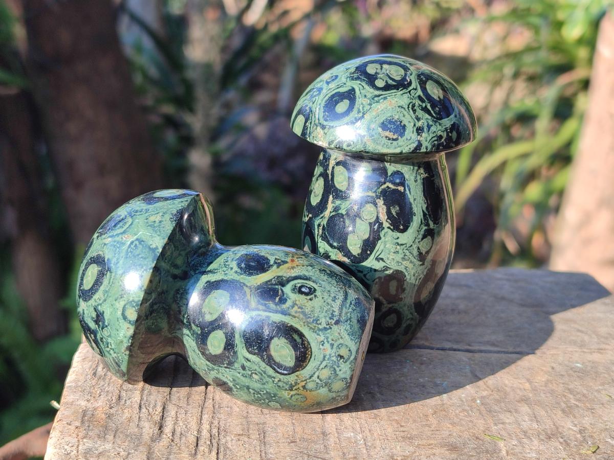Polished Stromatolite "Kambamba Jasper" Mushrooms x 5 From Katsepy, Madagascar - Toprock Gemstones and Minerals 