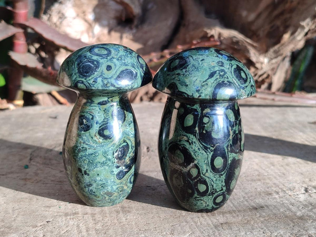 Polished Stromatolite "Kambamba Jasper" Mushrooms x 5 From Katsepy, Madagascar - Toprock Gemstones and Minerals 