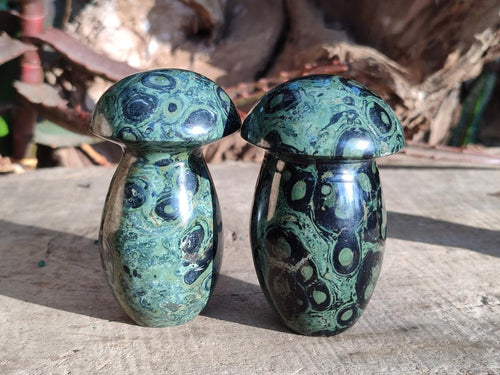 Polished Stromatolite "Kambamba Jasper" Mushrooms x 5 From Katsepy, Madagascar - Toprock Gemstones and Minerals 