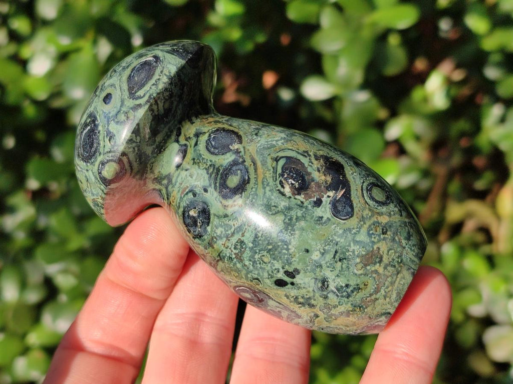 Polished Stromatolite "Kambamba Jasper" Mushrooms x 5 From Katsepy, Madagascar - Toprock Gemstones and Minerals 