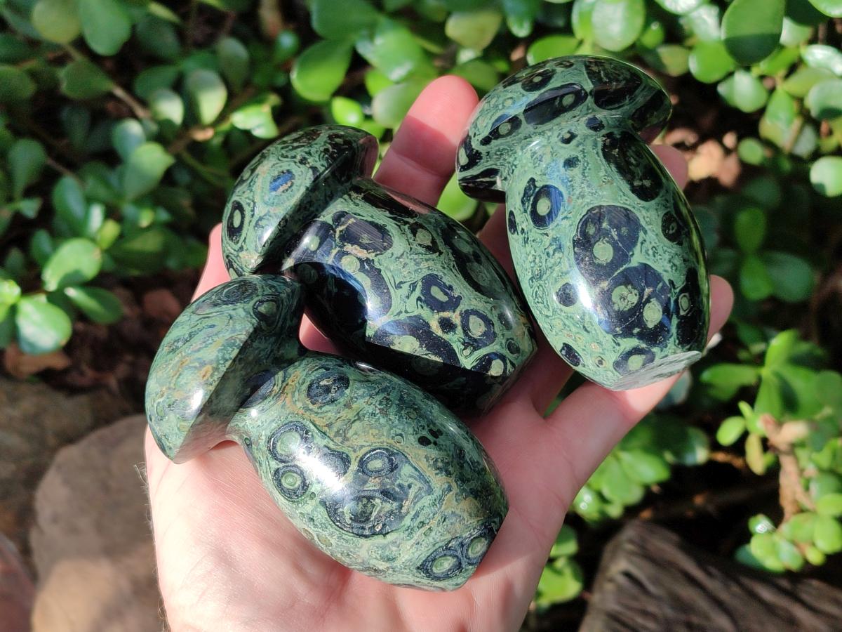 Polished Stromatolite "Kambamba Jasper" Mushrooms x 5 From Katsepy, Madagascar - Toprock Gemstones and Minerals 