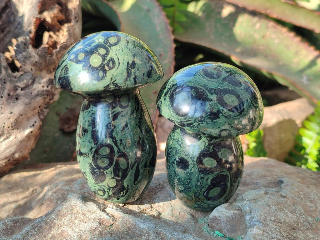 Polished Stromatolite "Kambamba Jasper" Mushrooms x 5 From Katsepy, Madagascar - Toprock Gemstones and Minerals 