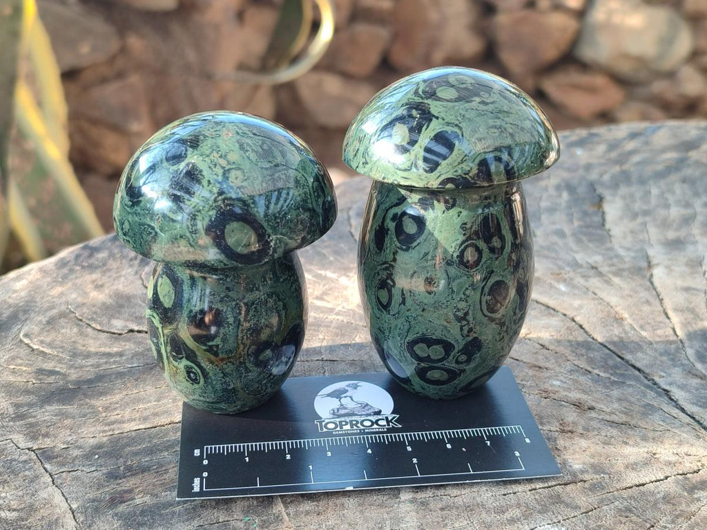 Polished Stromatolite "Kambamba Jasper" Mushrooms x 5 From Katsepy, Madagascar - Toprock Gemstones and Minerals 