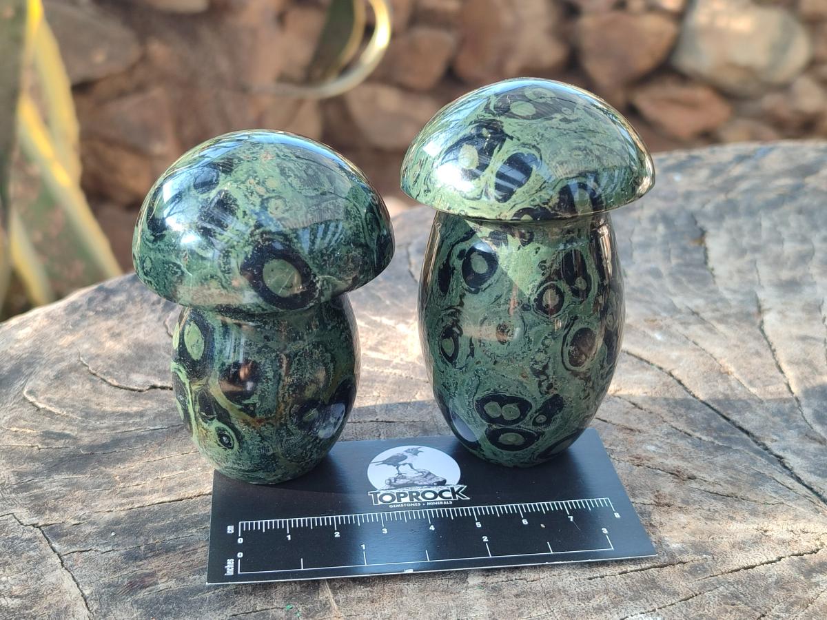 Polished Stromatolite "Kambamba Jasper" Mushrooms x 5 From Katsepy, Madagascar - Toprock Gemstones and Minerals 