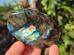 Polished Large Blue Lace Agate Standing Display Piece x 1 From Nsanje, Malawi - Toprock Gemstones and Minerals 