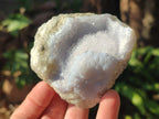 Natural Blue Lace Agate Geode Specimens x 12 From Nsanje, Malawi - Toprock Gemstones and Minerals 