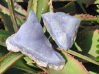 Natural Blue Lace Agate Geode Specimens x 12 From Nsanje, Malawi - Toprock Gemstones and Minerals 