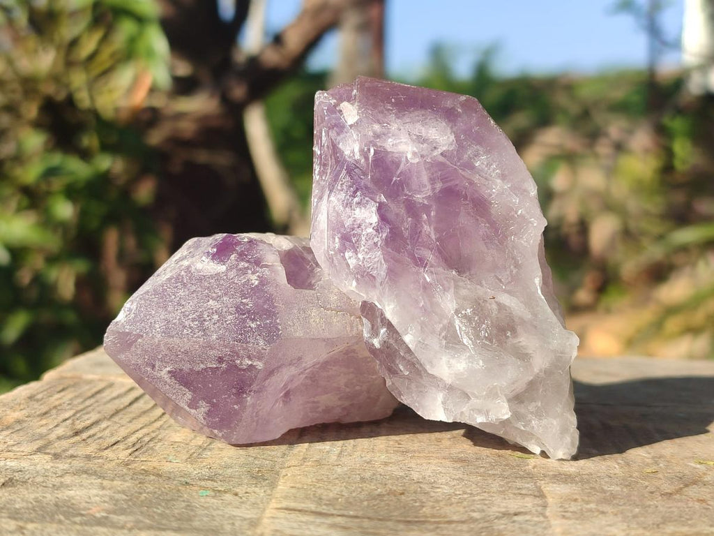 Natural Jacaranda Amethyst Single Crystals x 12 From Mumbwa, Zambia - Toprock Gemstones and Minerals 
