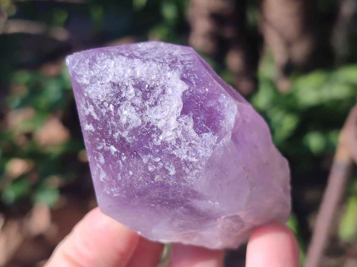 Natural Jacaranda Amethyst Single Crystals x 12 From Mumbwa, Zambia - Toprock Gemstones and Minerals 
