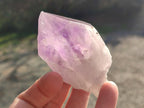 Natural Jacaranda Amethyst Single Crystals x 12 From Mumbwa, Zambia - Toprock Gemstones and Minerals 