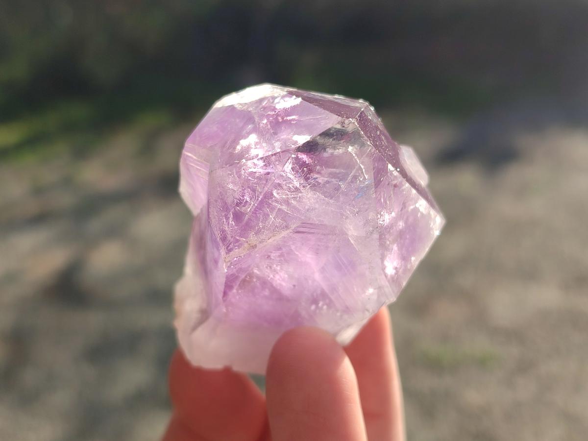 Natural Jacaranda Amethyst Single Crystals x 12 From Mumbwa, Zambia - Toprock Gemstones and Minerals 