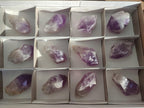 Natural Jacaranda Amethyst Single Crystals x 12 From Mumbwa, Zambia - Toprock Gemstones and Minerals 