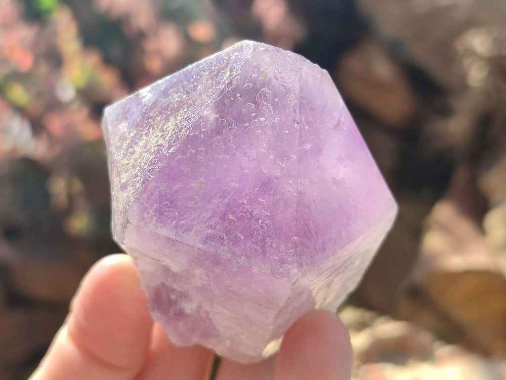 Natural Jacaranda Amethyst Single Crystals x 12 From Mumbwa, Zambia - Toprock Gemstones and Minerals 