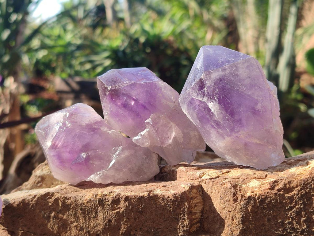 Natural Jacaranda Amethyst Single Crystals x 12 From Mumbwa, Zambia - Toprock Gemstones and Minerals 