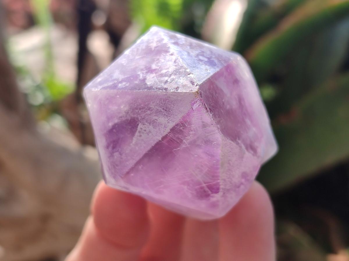 Natural Jacaranda Amethyst Single Crystals x 12 From Mumbwa, Zambia - Toprock Gemstones and Minerals 