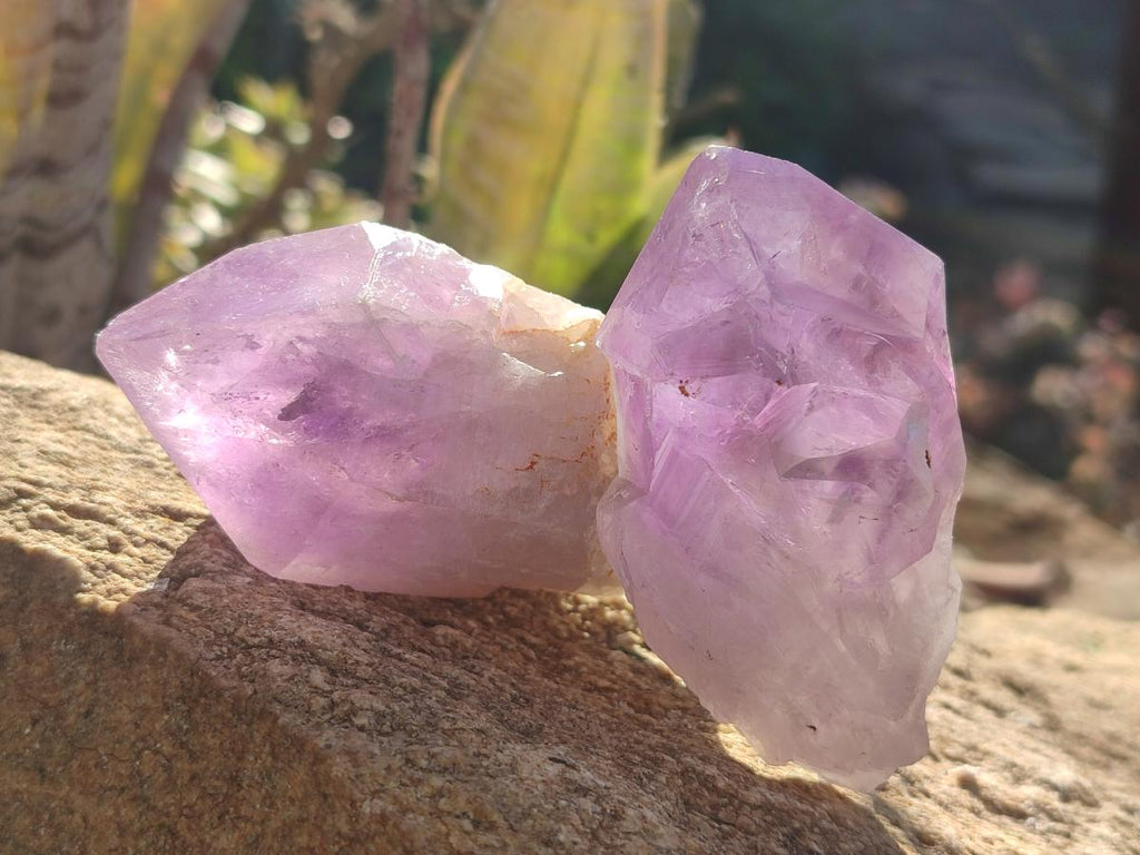 Natural Jacaranda Amethyst Single Crystals x 12 From Mumbwa, Zambia - Toprock Gemstones and Minerals 