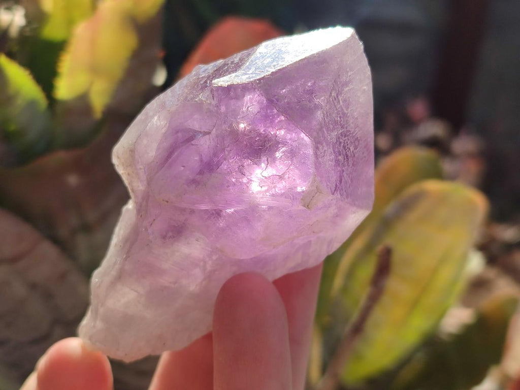 Natural Jacaranda Amethyst Single Crystals x 12 From Mumbwa, Zambia - Toprock Gemstones and Minerals 