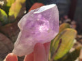 Natural Jacaranda Amethyst Single Crystals x 12 From Mumbwa, Zambia - Toprock Gemstones and Minerals 