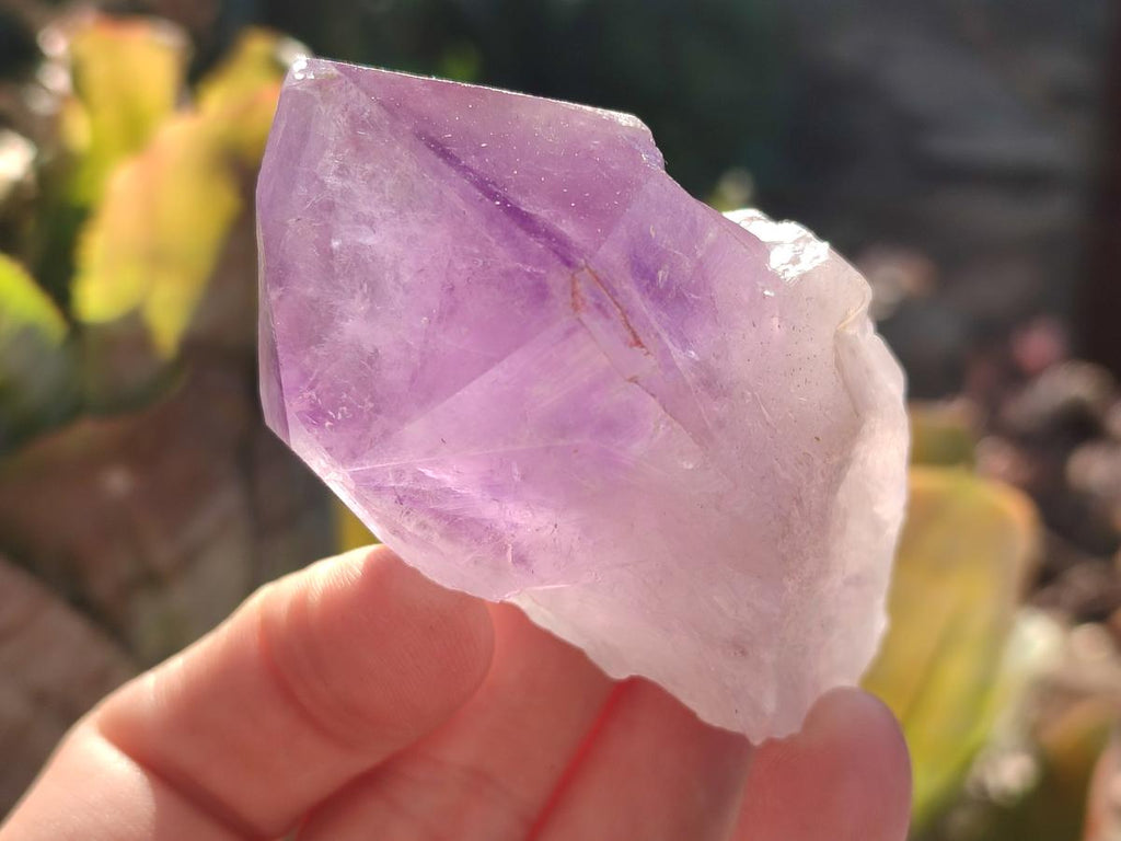 Natural Jacaranda Amethyst Single Crystals x 12 From Mumbwa, Zambia - Toprock Gemstones and Minerals 