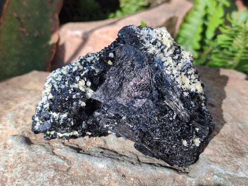 Natural Schorl Black Tourmaline Specimens with Vermiculite Mica x 2 From Erongo, Namibia - Toprock Gemstones and Minerals 