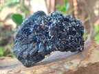 Natural Schorl Black Tourmaline Specimens with Vermiculite Mica x 2 From Erongo, Namibia - Toprock Gemstones and Minerals 