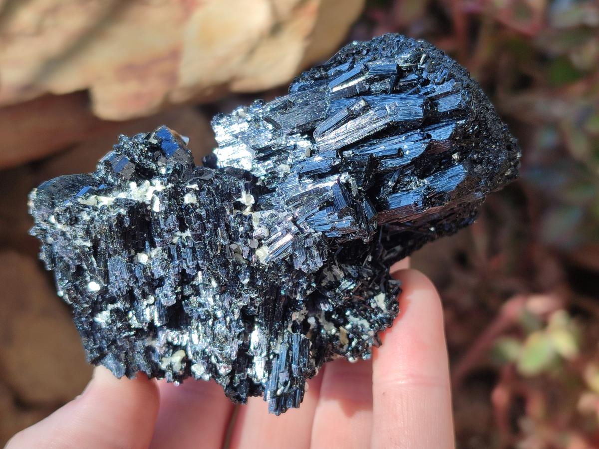 Natural Schorl Black Tourmaline Specimens with Vermiculite Mica x 2 From Erongo, Namibia - Toprock Gemstones and Minerals 