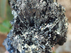 Natural Schorl Black Tourmaline Specimens with Vermiculite Mica x 2 From Erongo, Namibia - Toprock Gemstones and Minerals 