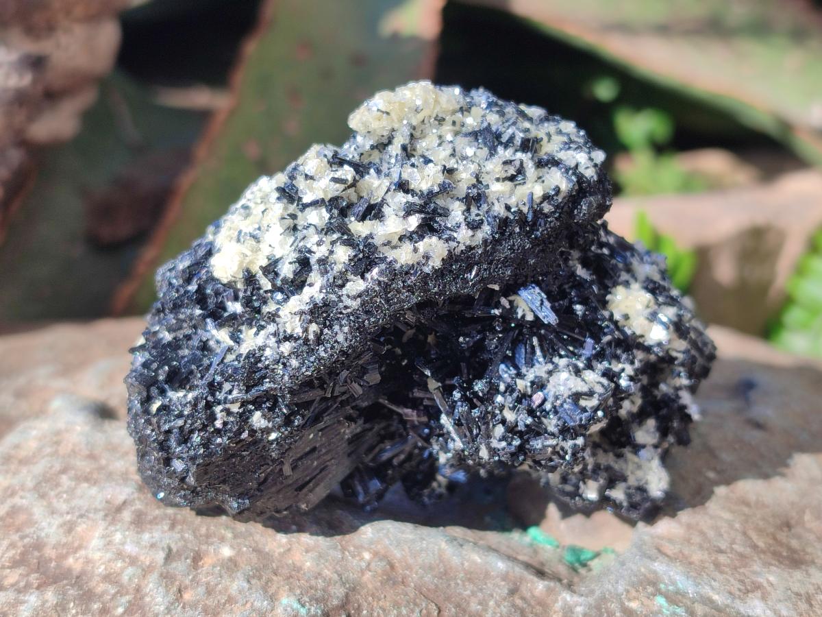 Natural Schorl Black Tourmaline Specimens with Vermiculite Mica x 2 From Erongo, Namibia - Toprock Gemstones and Minerals 