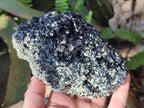 Natural Schorl Black Tourmaline Specimens with Vermiculite Mica x 2 From Erongo, Namibia - Toprock Gemstones and Minerals 