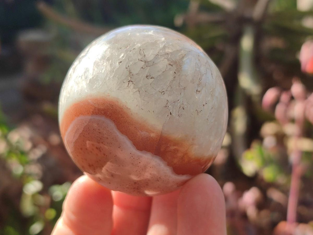 Polished Red Shashe River Banded Agate Spheres x 7 From Shashe River, Zimbabwe - Toprock Gemstones and Minerals 