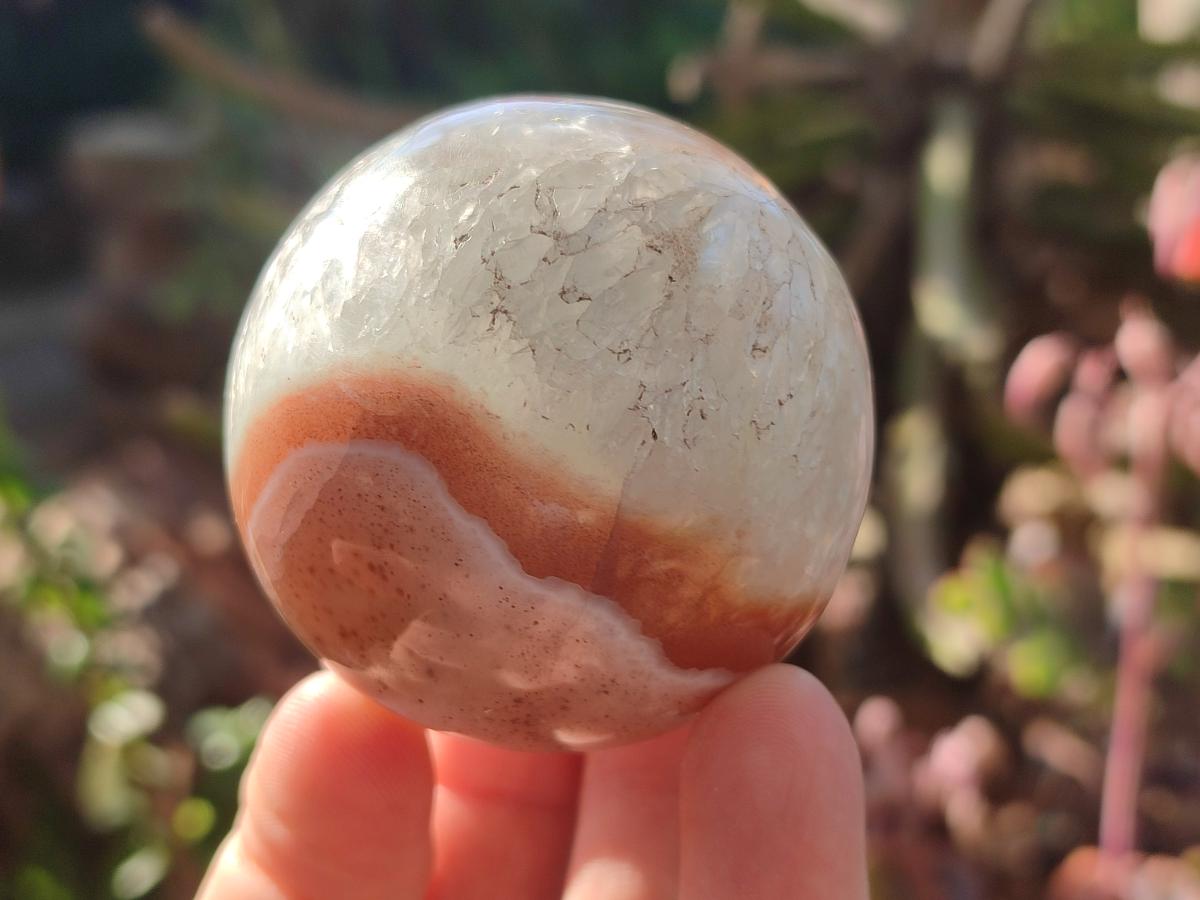 Polished Red Shashe River Banded Agate Spheres x 7 From Shashe River, Zimbabwe - Toprock Gemstones and Minerals 