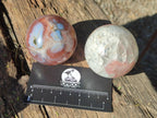 Polished Red Shashe River Banded Agate Spheres x 7 From Shashe River, Zimbabwe - Toprock Gemstones and Minerals 