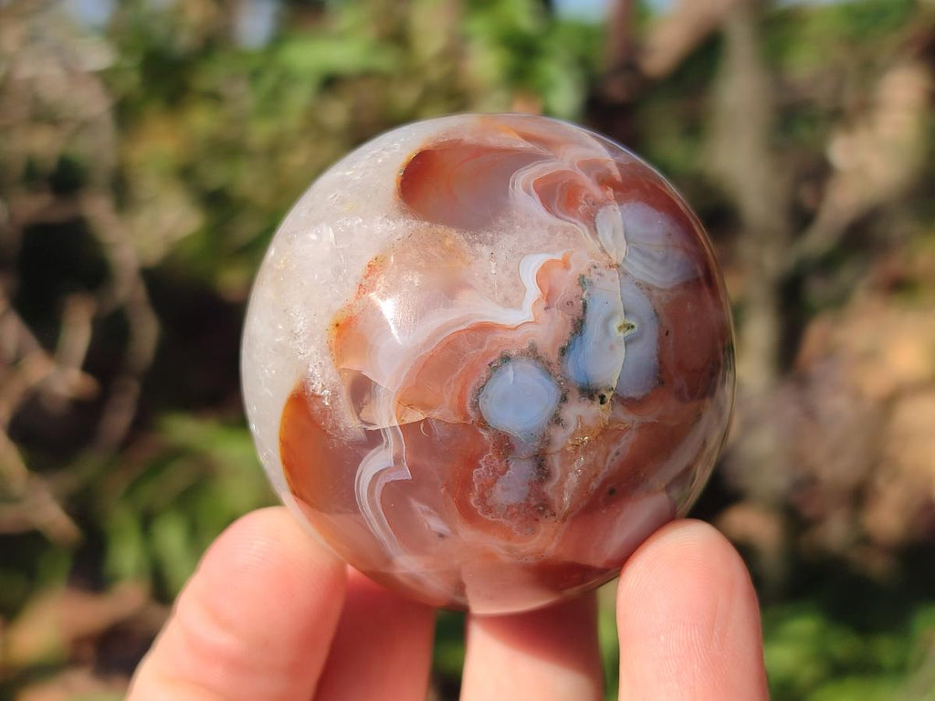Polished Red Shashe River Banded Agate Spheres x 7 From Shashe River, Zimbabwe - Toprock Gemstones and Minerals 