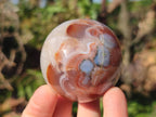 Polished Red Shashe River Banded Agate Spheres x 7 From Shashe River, Zimbabwe - Toprock Gemstones and Minerals 