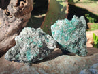 Natural Emerald Mica 'Mutokolite' Cobbed Specimens x 12 From Mutoko, Zimbabwe - Toprock Gemstones and Minerals 