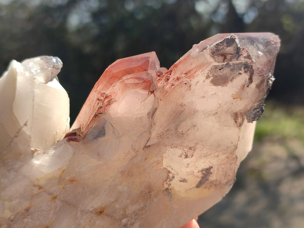 Natural Cabinet Size Red Hematoid Quartz Clusters x 2 From Karoi, Zimbabwe - Toprock Gemstones and Minerals 