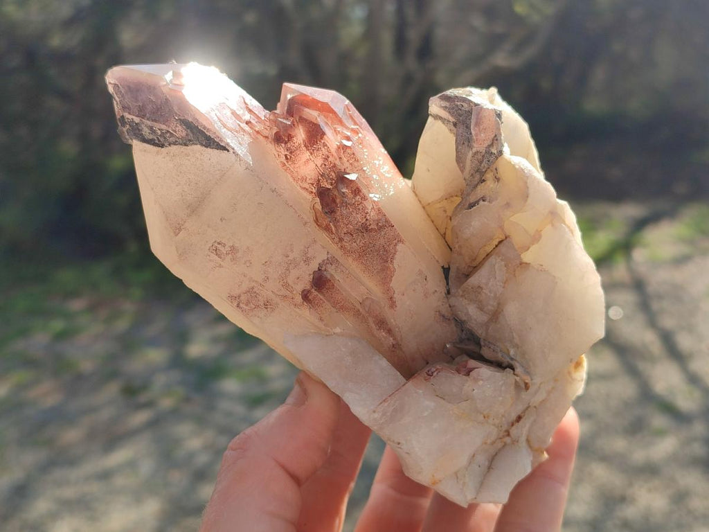 Natural Cabinet Size Red Hematoid Quartz Clusters x 2 From Karoi, Zimbabwe - Toprock Gemstones and Minerals 