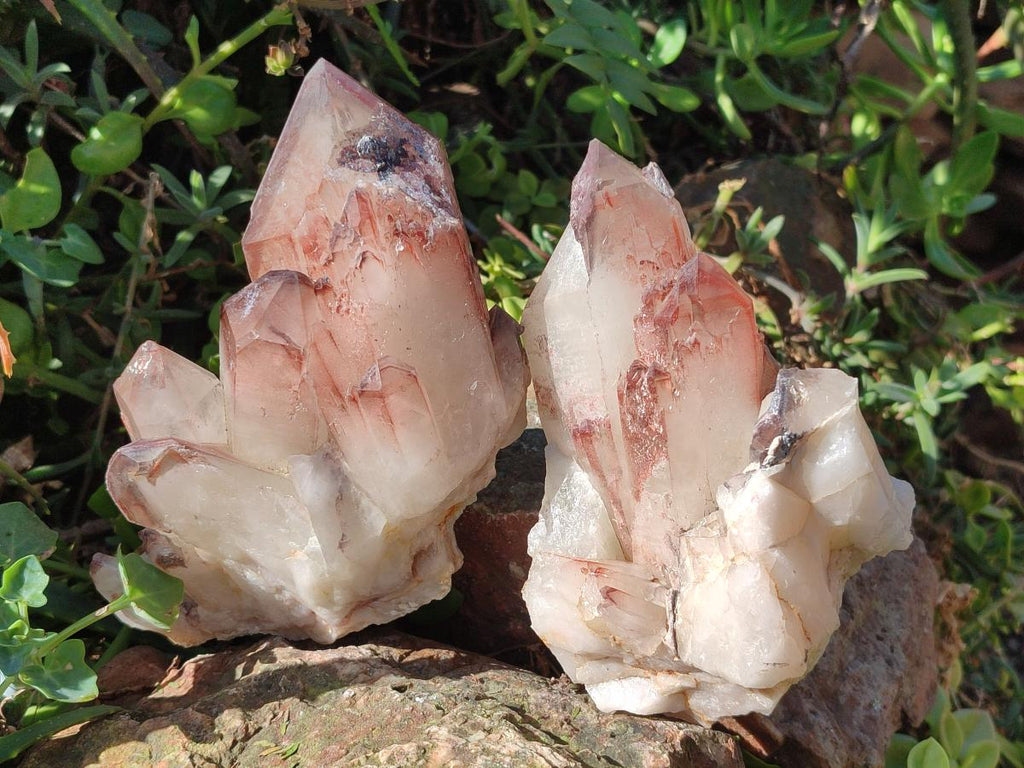 Natural Cabinet Size Red Hematoid Quartz Clusters x 2 From Karoi, Zimbabwe - Toprock Gemstones and Minerals 