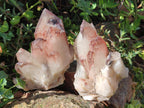 Natural Cabinet Size Red Hematoid Quartz Clusters x 2 From Karoi, Zimbabwe - Toprock Gemstones and Minerals 