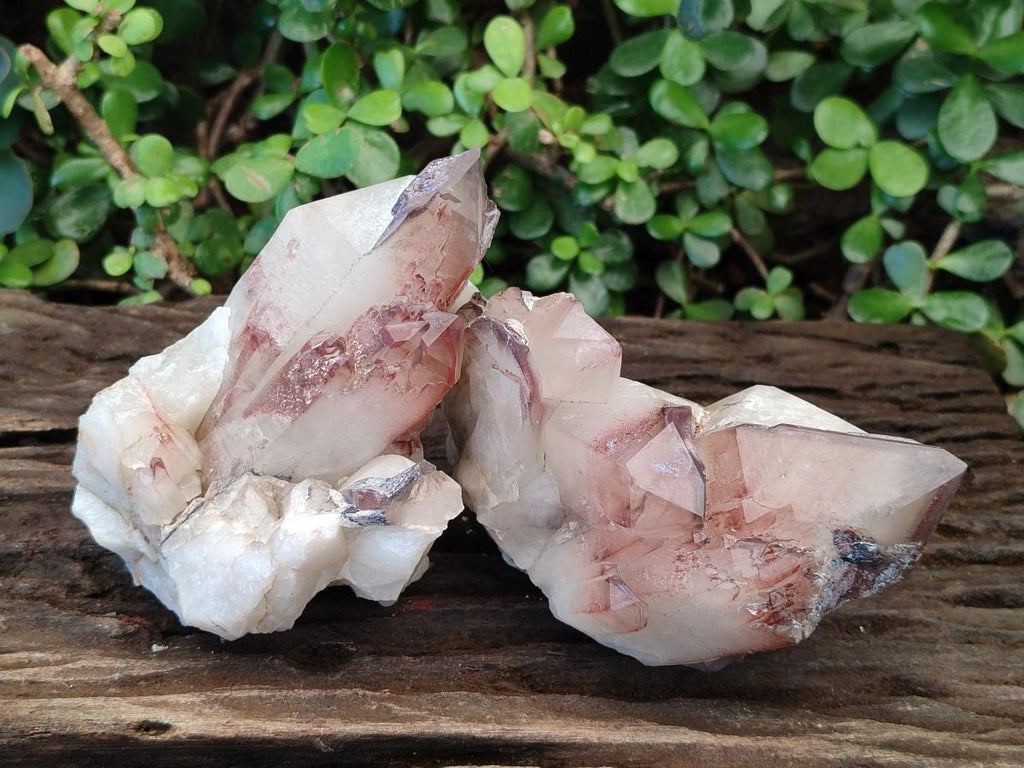 Natural Cabinet Size Red Hematoid Quartz Clusters x 2 From Karoi, Zimbabwe - Toprock Gemstones and Minerals 