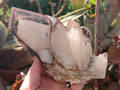 Natural Cabinet Size Red Hematoid Quartz Clusters x 2 From Karoi, Zimbabwe - Toprock Gemstones and Minerals 