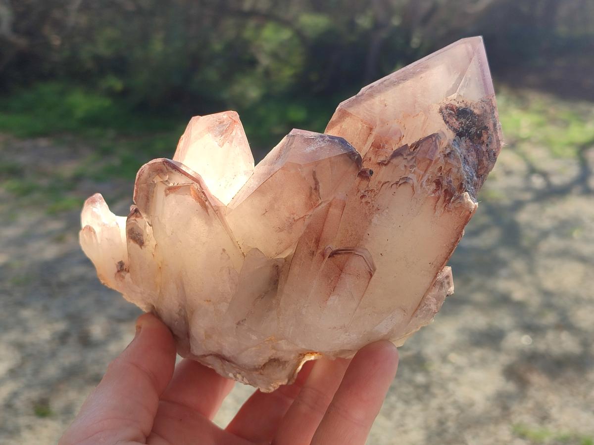 Natural Cabinet Size Red Hematoid Quartz Clusters x 2 From Karoi, Zimbabwe - Toprock Gemstones and Minerals 