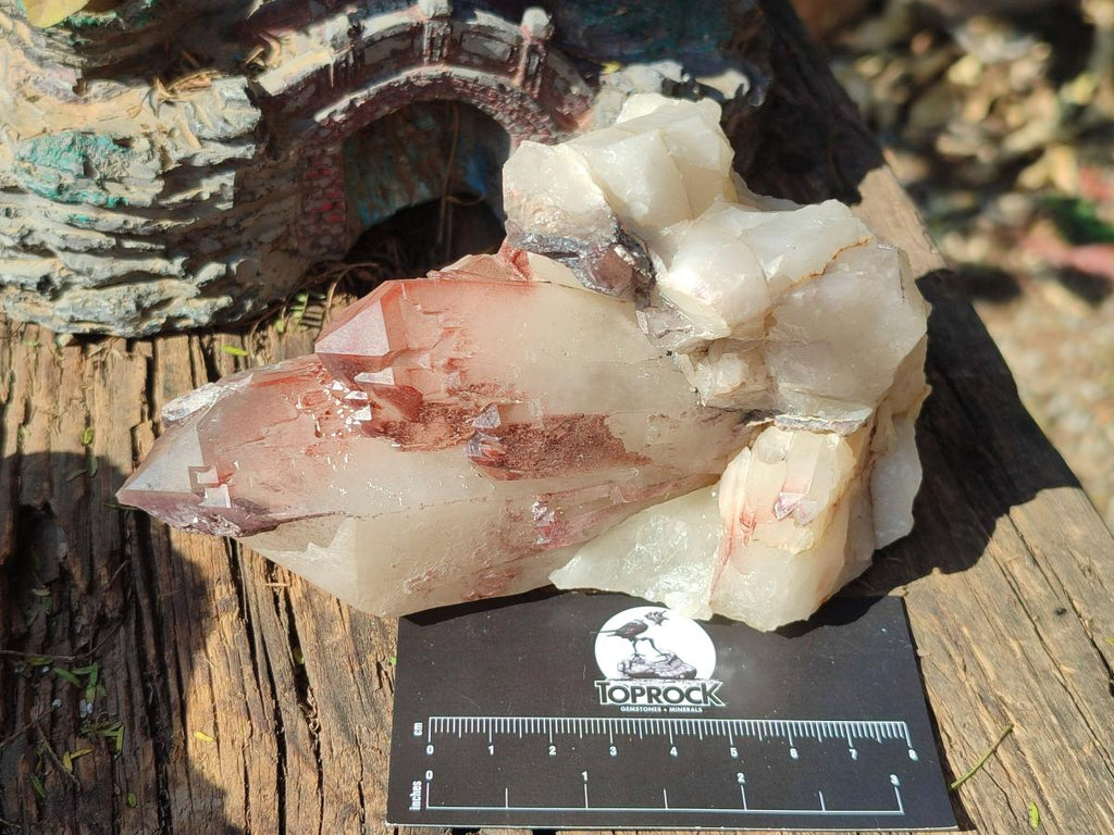 Natural Cabinet Size Red Hematoid Quartz Clusters x 2 From Karoi, Zimbabwe - Toprock Gemstones and Minerals 